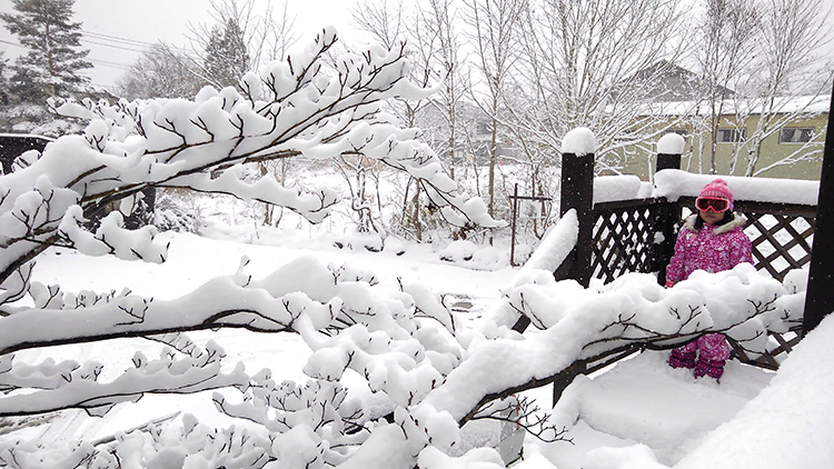【スノーシュー体験】ファミリーで楽しめる フカフカ雪上トレッキング体験と「ハフハ フあったか鍋」プラン
