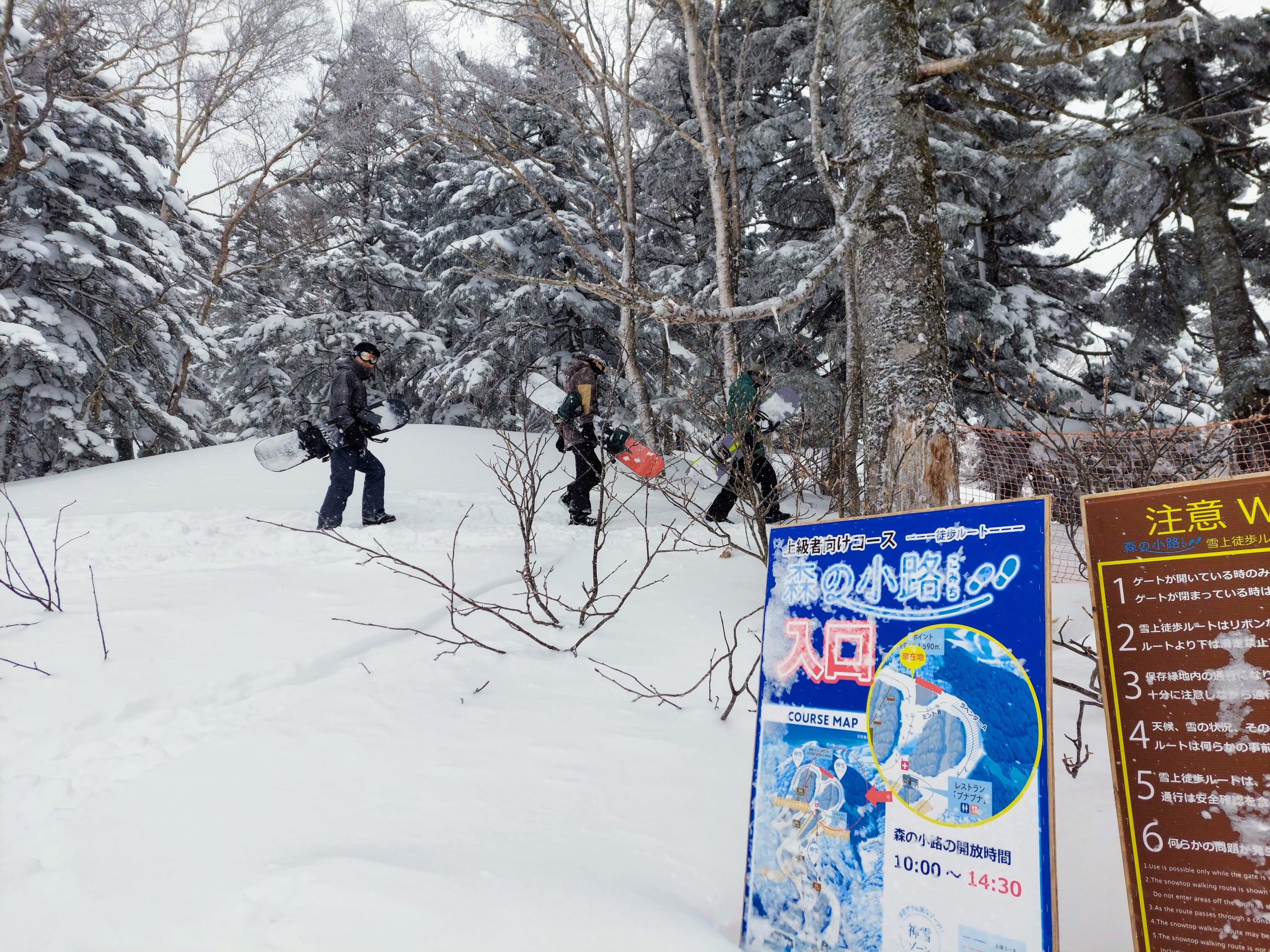 グランデコスノーリゾート】1日券付きプランも✨️🏂️❄ | 裏