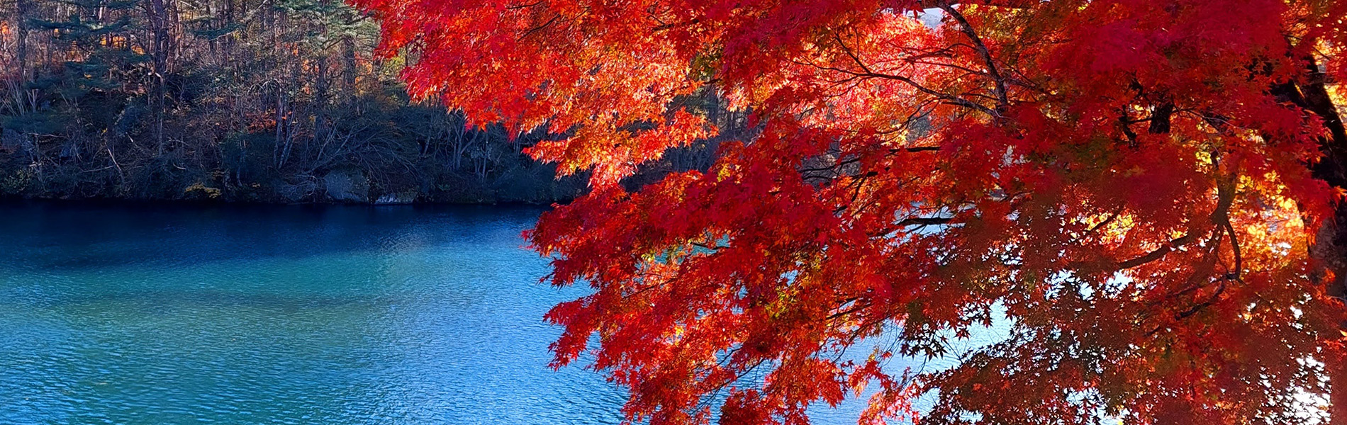 　桧原湖や小野川湖で、サップ・カヌー・水遊びは最高♪