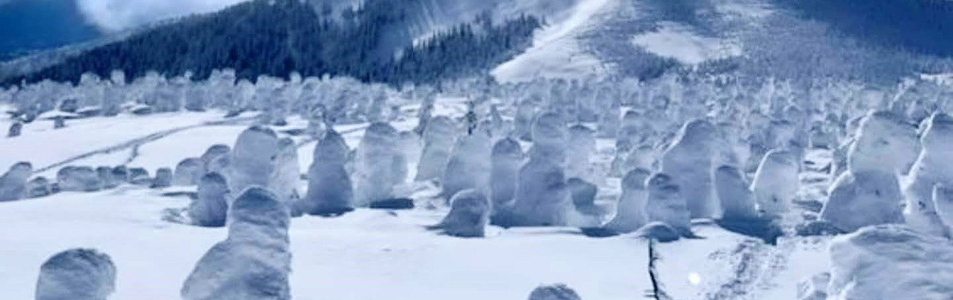 西大嶺のスノーモンスター「美しい！！」