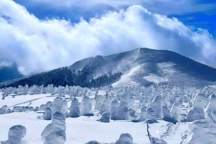 お１人様のご宿泊も大歓迎です！
自然豊かな裏磐梯で、四季折々のアクティビティを是非お楽しみくださいませ。
