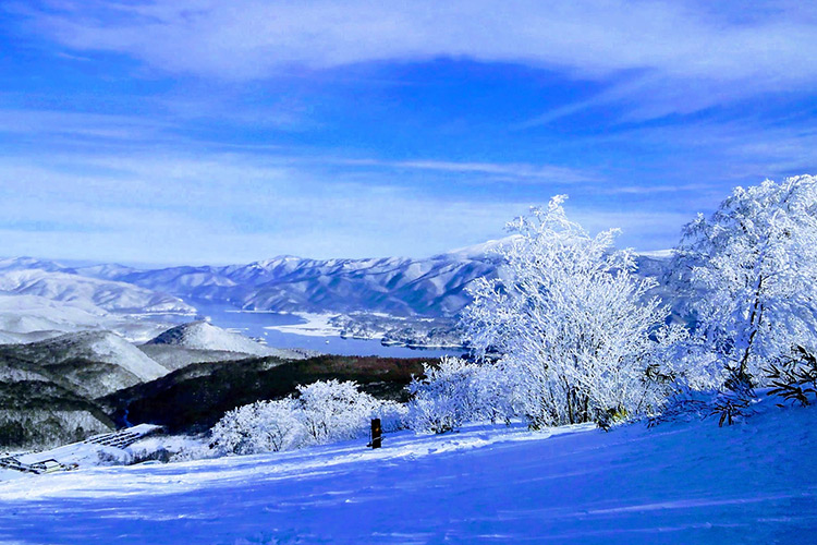 【星野リゾート　ネコマ マウンテン】リフト１日券付＋「ハフハフあったか鍋」冬の味満喫プラン