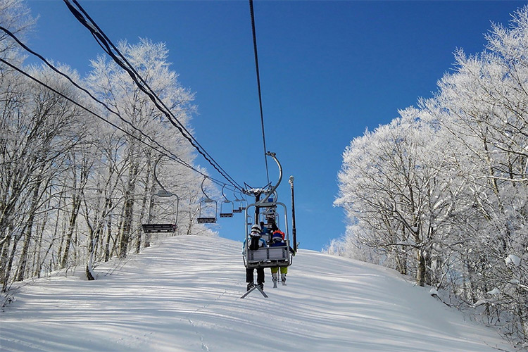 【リーズナブルプラン】メニューは女将におまかせ！　予算を抑えたお夕食付きプラン
