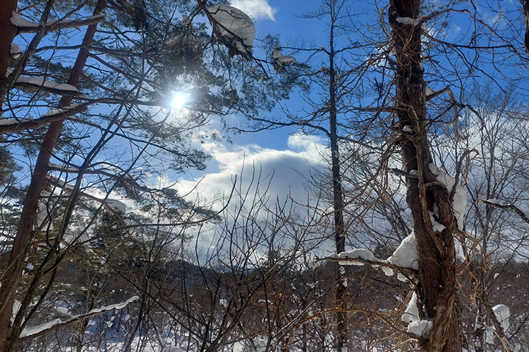 標高約８００ｍの裏磐梯高原は、四季折々の「楽しい」が盛りたくさん！
自然を感じて、思いきり遊んで、リフレッシュしていただけたら嬉しいです♪
